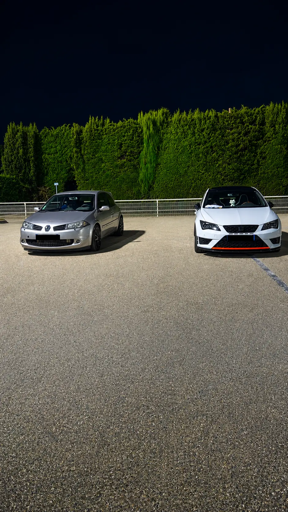 Cupra et Mégane réunies de jour