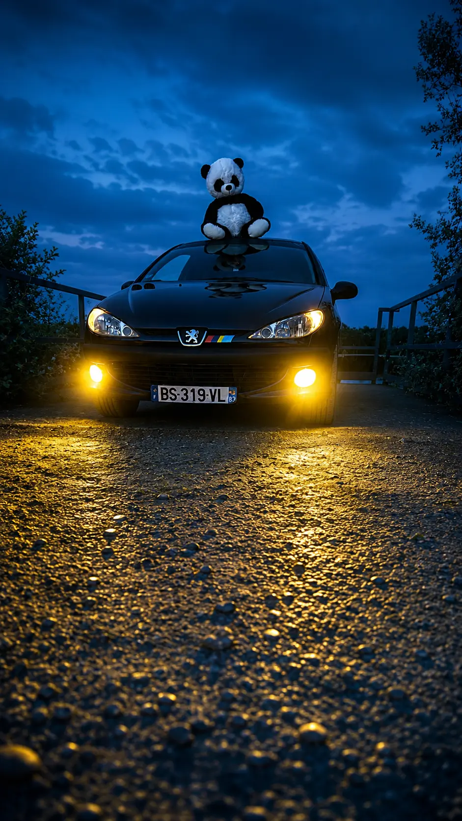 Peugeot 206